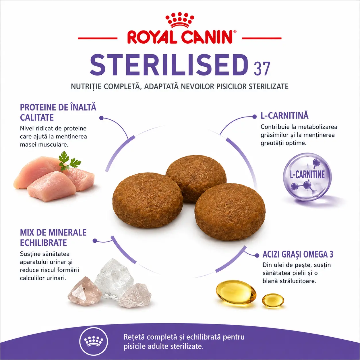 Royal Canin Sterilised Cat 37 10kg [4]