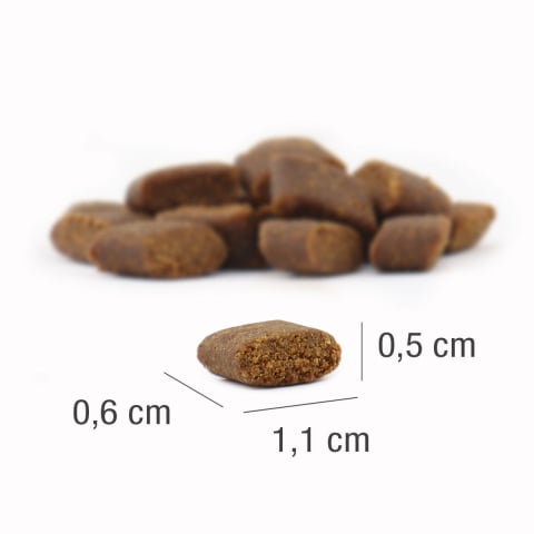 Platinum Junior cu Pui 5kg [2]