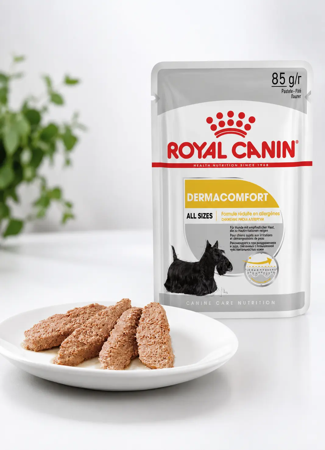 Royal Canin Dermaconfort Plic 85g [1]