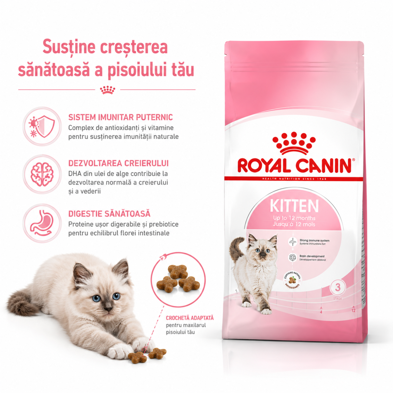 Royal Canin Kitten 2kg [1]