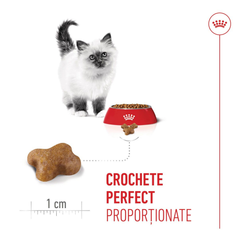 Royal Canin Kitten 10kg [2]