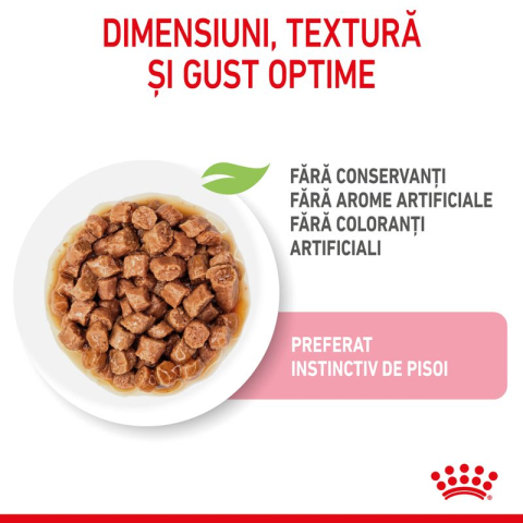 Royal Canin Kitten plic 85g [1]