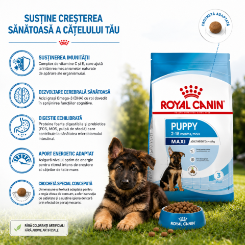 Royal Canin Maxi Puppy 12kg - hrană uscată pentru căței de talie mare [1]
