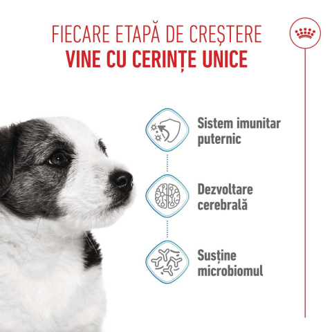 Royal Canin Mini Puppy 4kg [1]