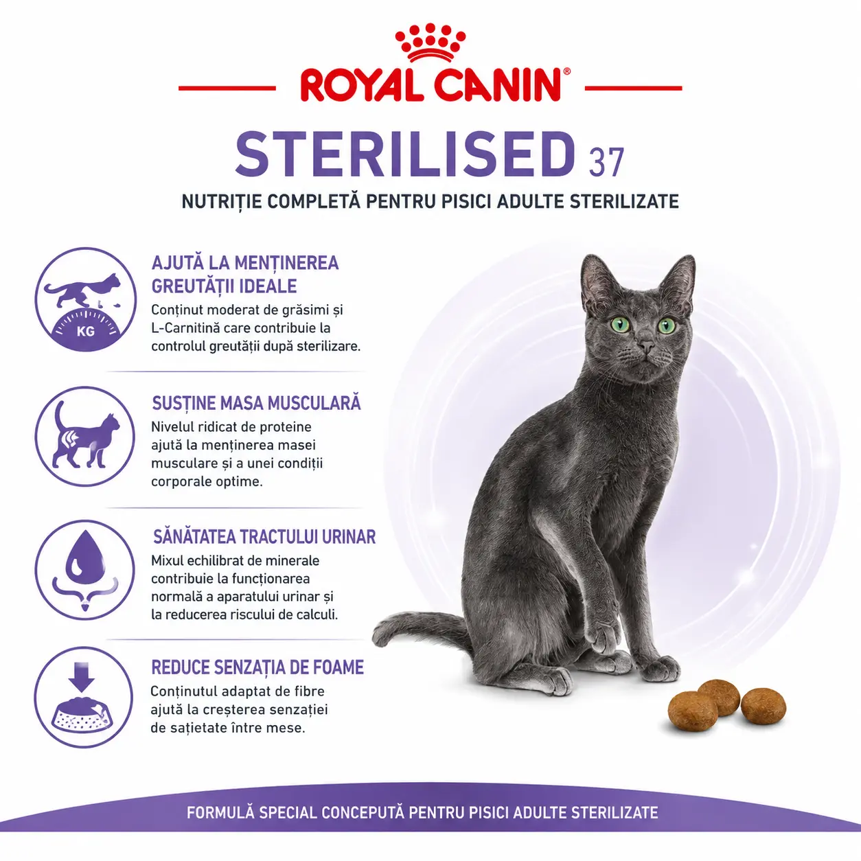 Royal Canin Sterilised Cat 37 10kg [1]