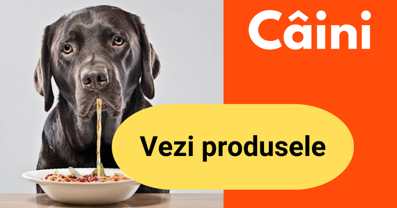 Caini