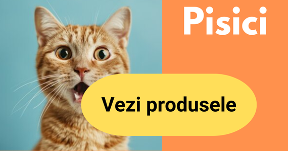 Pisici