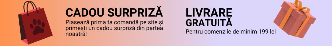Cadou Surpriza
