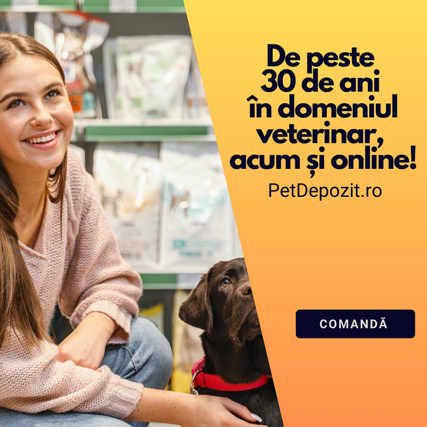 De peste 30 ani - mobil