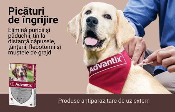 Picaturi de ingrijire