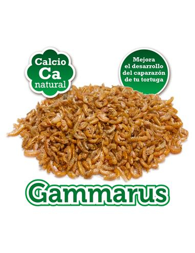 GAMMARUS 105ML 7000 [2]