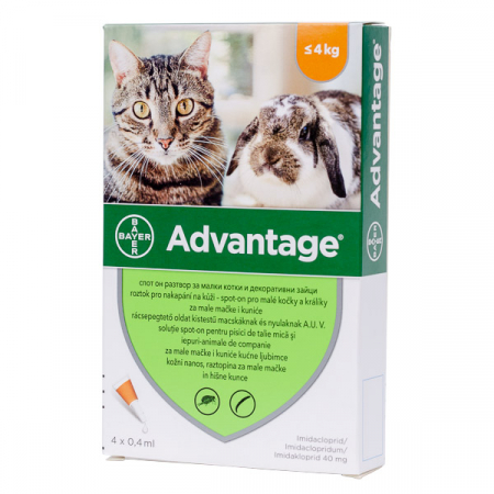FARMACIE PISICI - Advantage 40, Pisica si Iepure, 4 pipete