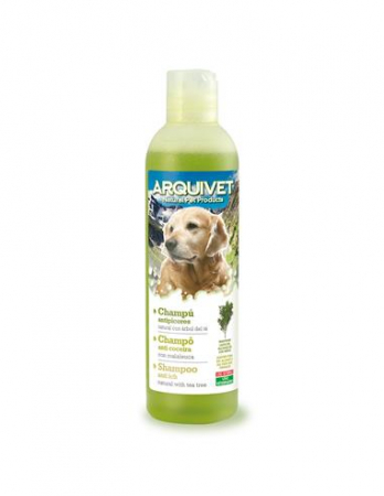 Dermatologice - SAMPON ANTIPRURIGINOS 250ML 2555