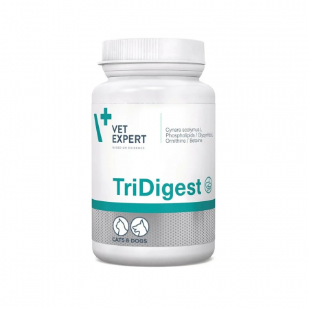 Afectiuni digestive - TriDigest 40 tablete