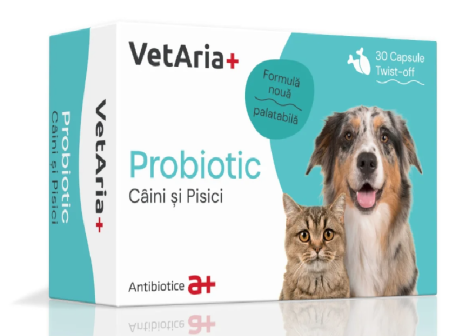 Suplimente&Vitamine - VETARIA+ PROBIOTIC CÂINE+PISICĂ , 30 CAPSULE TWIST OFF, PALATABILE