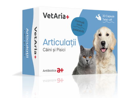 Suplimente&Vitamine - VETARIA+ ARTICULAȚII CÂINI ȘI PISICI, 30 CAPSULE TWIST OFF, PALATABILE