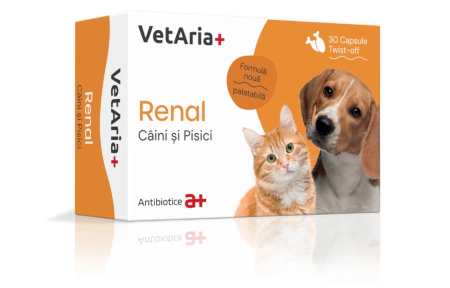 Suplimente&Vitamine - VETARIA+ RENAL CĂINE ȘI PISICĂ, 30 CAPSULE TWIST OFF, PALATABILE, CU AROMĂ DE PUI