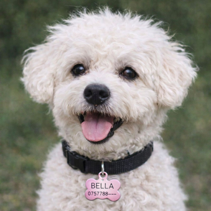 Medalion Câine Personalizat cu Nume și Date de Contact – Formă de Os, Aluminiu Roz [6]