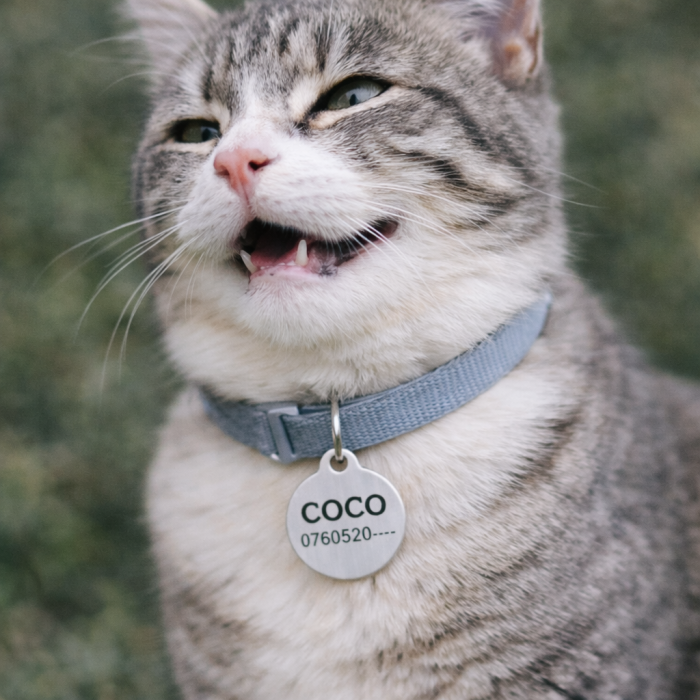 Medalion Personalizat pentru Câini și Pisici – Rotund, 25 mm, Aluminiu Roz [6]