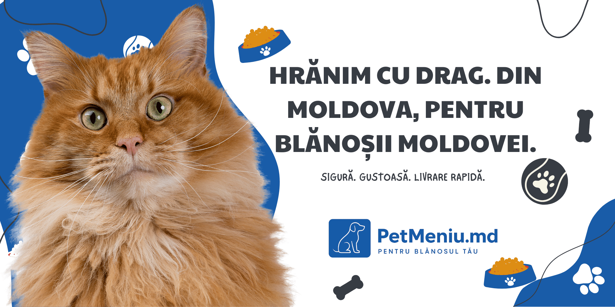 Vezi produse pentru pisici