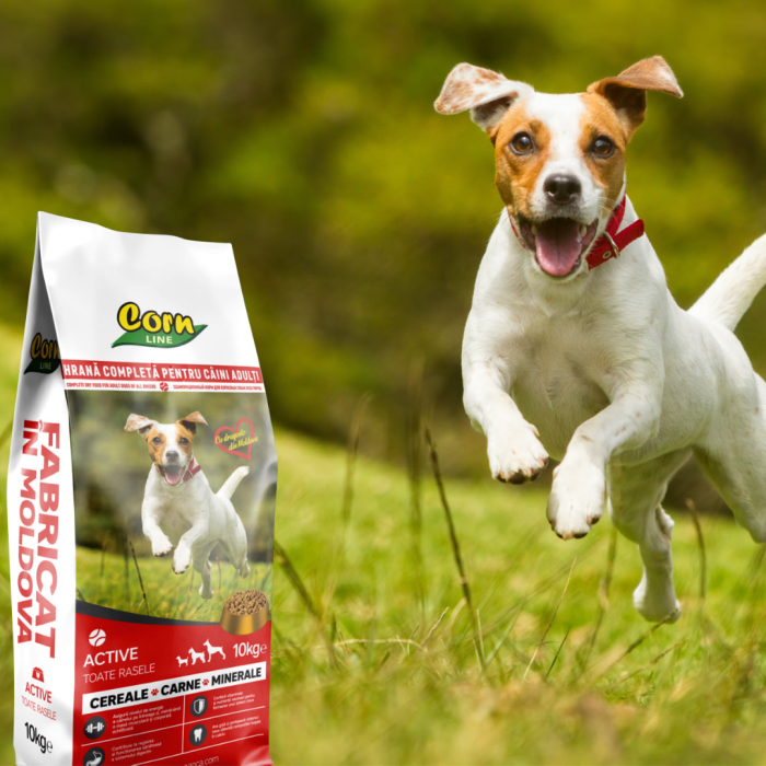 Donează - CornLine Active 10 kg – câini adulți [3]