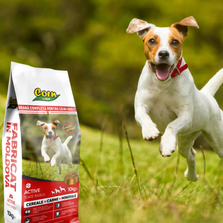 Donează - CornLine Active 10 kg – câini adulți [2]