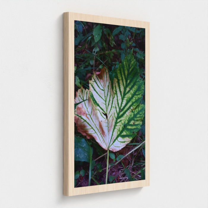 Green Leaf in Nature Natural Maple Wood Print [3]