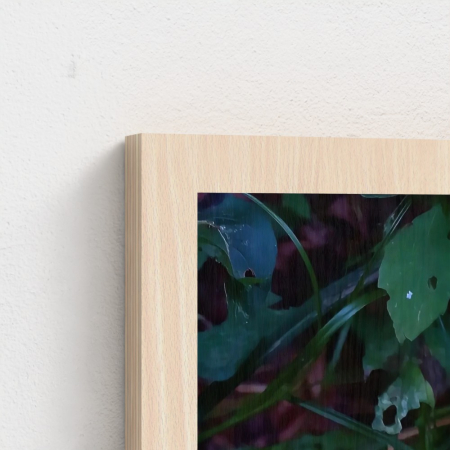 Green Leaf in Nature Natural Maple Wood Print [1]