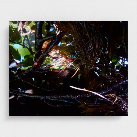 Wall Art - Metal Prints - Rays Of Light Wall Art