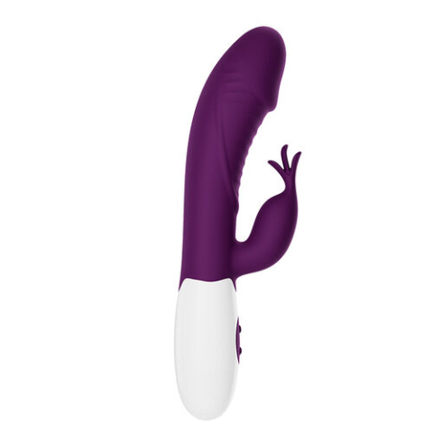 Vibrator cu Stimulare Dublă Pretty Love Rogue Muse, Mov [2]