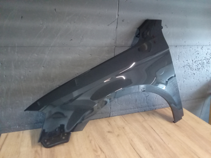 Aripa fata stanga Volkswagen Passat B7 2010-2014 vopsita gri li7f [2]