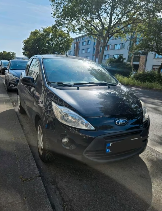 Bara spate Negru Panther Ford KA 2008-2016 VOPSITA TU Alegi culoarea [2]