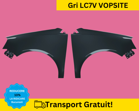 POLO 9N 2005-2009 - Aripi fata Volkswagen Polo 9N 2005-2009 Albastru LC7V VOPSITE
