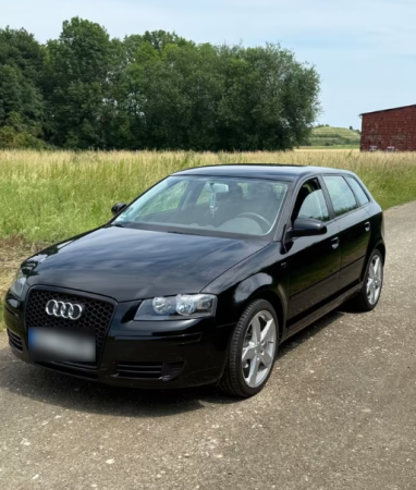 Aripi fata Negru LZ9Y LY9B LZ9W Audi A3 8P 2003-2008 VOPSITE TU Alegi culoarea [1]