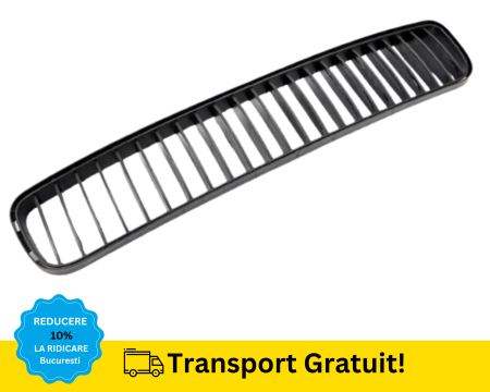 ROOMSTER 2006-2014 - Grila Bara fata Skoda ROOMSTER 2006-2010