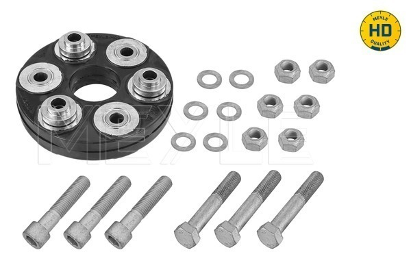 ARTICULATIE, CARDAN [1]