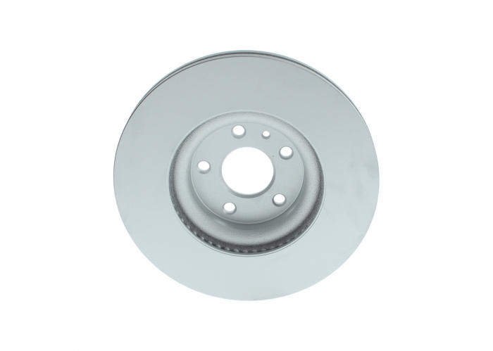 Disc frana [1]