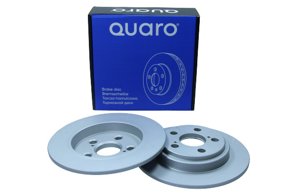 Disc frana [1]