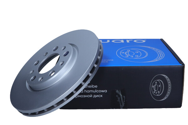 Disc frana [2]