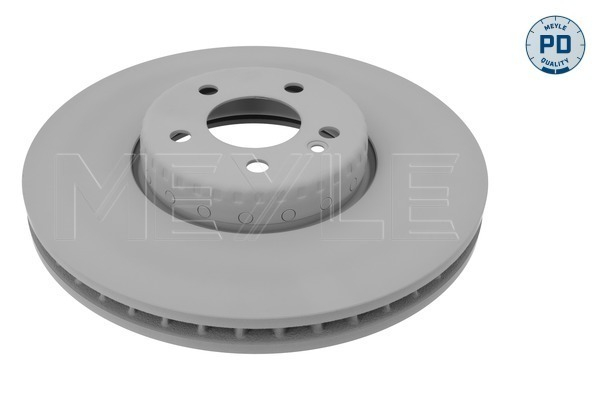 Disc frana [1]