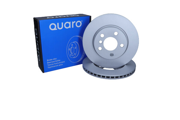 Disc frana [2]