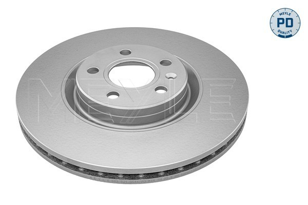 Disc frana [1]