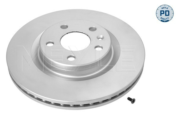 Disc frana [1]