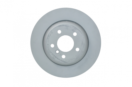Disc frana [1]
