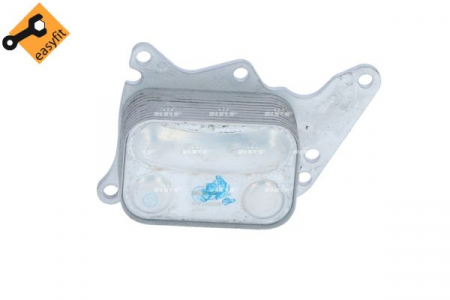 DS - Radiator ulei, ulei motor