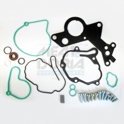 DS - Set reparatie, pompa vacuum (Siste frana)