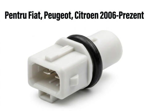 Fiat Ducato 06.2006 - 05.2014 (Platforma X250) - Soclu bec Lampa semnalizare CITROEN JUMPER, FIAT DUCATO, PEUGEOT BOXER 2006-Prezent