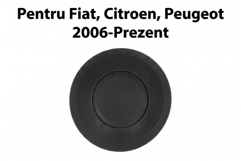 Fiat Ducato - Mâner Ușă Spate Interior Gri Calitate P — FIAT DUCATO / CITROËN JUMPER III / PEUGEOT BOXER (04.2006–Prezent)