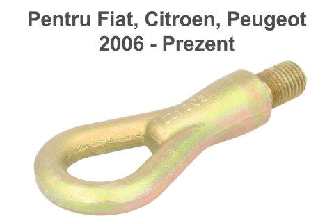 Fiat Ducato 06.2006 - 05.2014 (Platforma X250) - Carlig remorcare