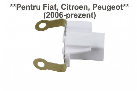 Fiat Ducato 06.2006 - 05.2014 (Platforma X250) - Suport Bec C5W Număr Înmatriculare Cu Ștecher Stânga/Dreapta — Fiat Ducato / Citroën Jumper / Peugeot Boxer (2006–Prezent)